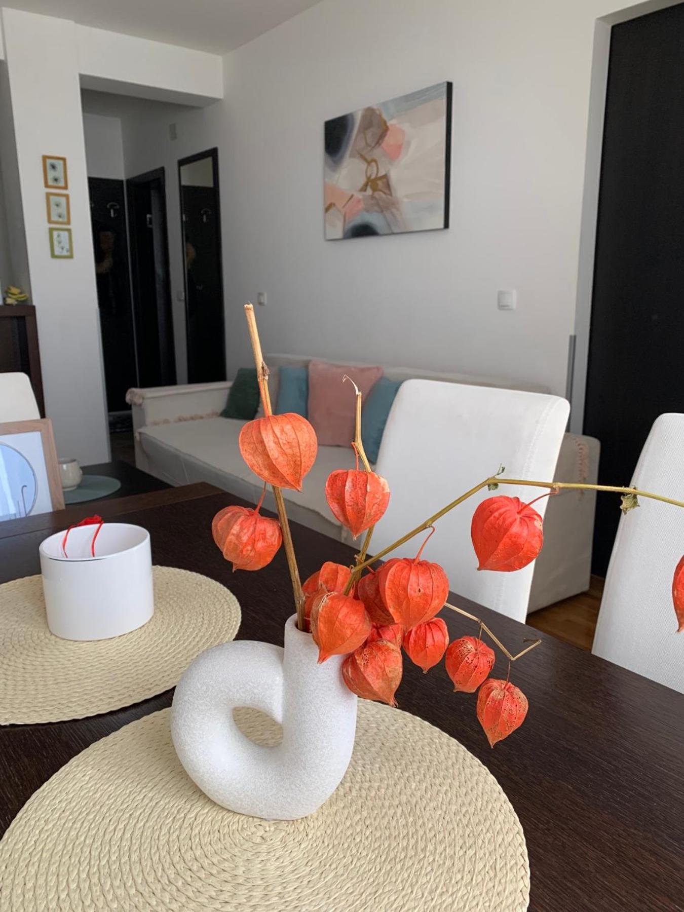 Beli Apartman U Zlatiborskim Konacima Bele Vode Bb Dış mekan fotoğraf
